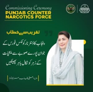 Jobs In Punjab Narcotics Force